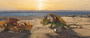 Photo 3 pour DRAGONS EN 3D